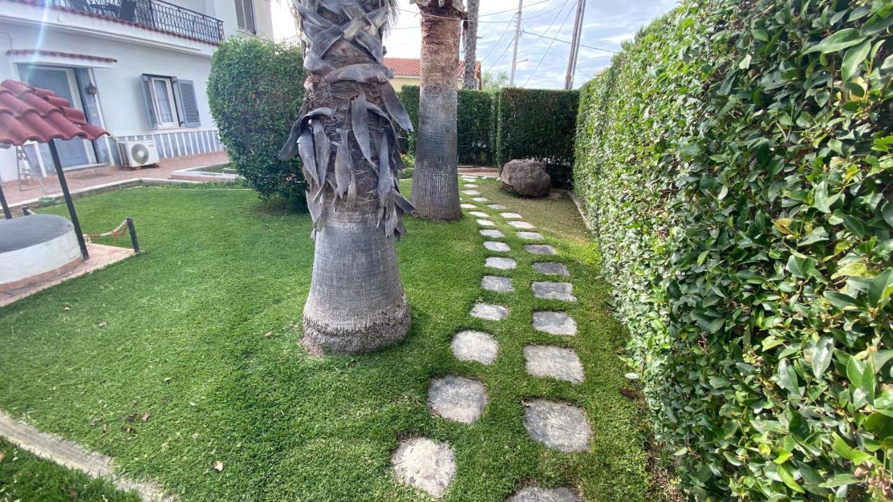 Patras Palm Tree Leilighet Eksteriør bilde