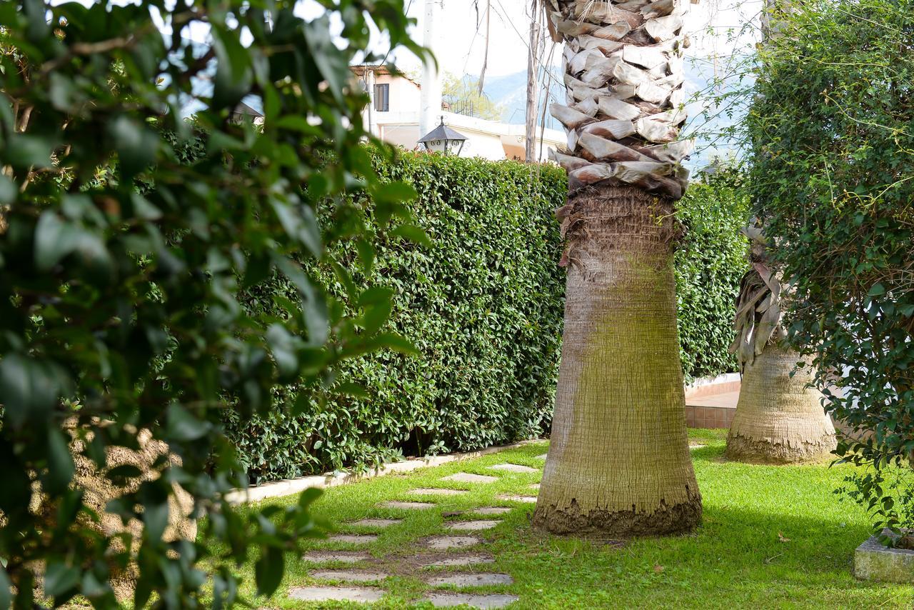 Patras Palm Tree Leilighet Eksteriør bilde